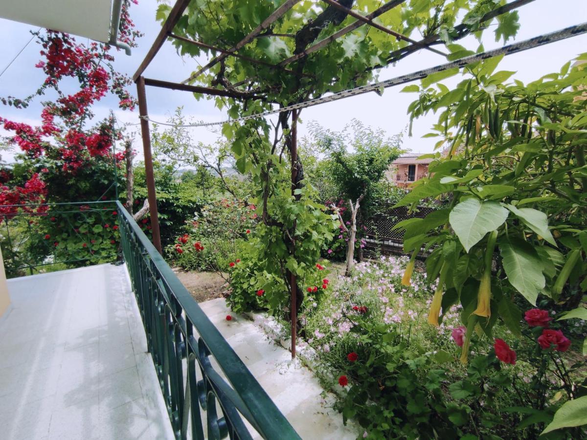 Corfu Countryside Apartment Potamós Exteriér fotografie